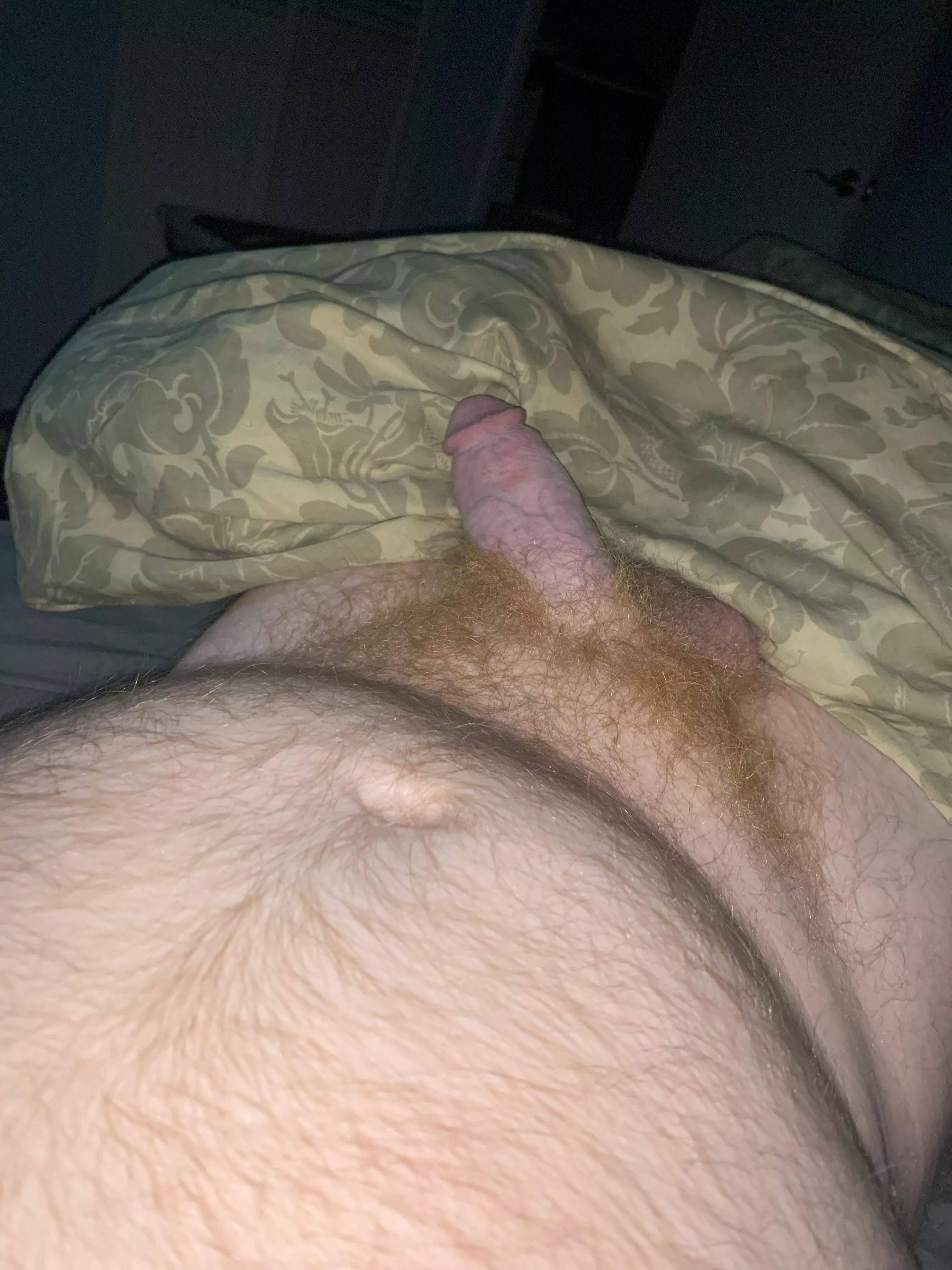 Ginger fur and belly