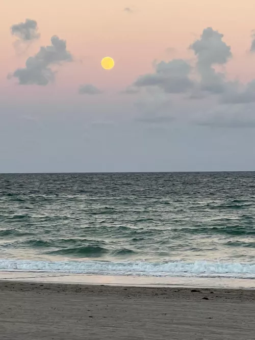 good night y'all 🥺❤️