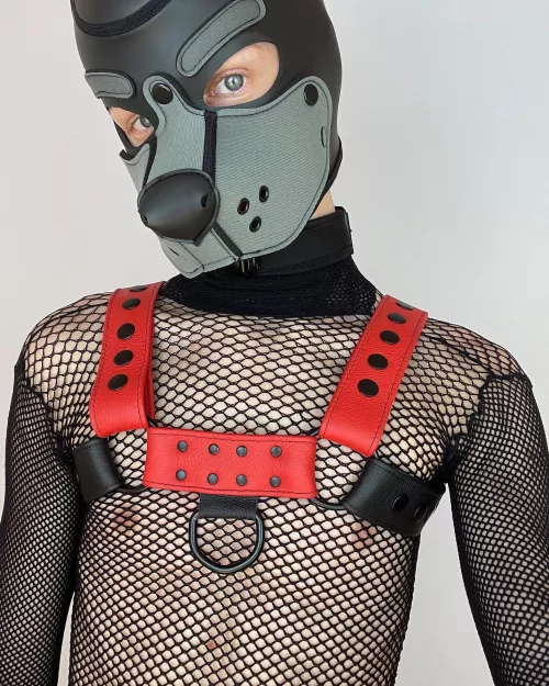 Hi reddit, woof 🐾✨