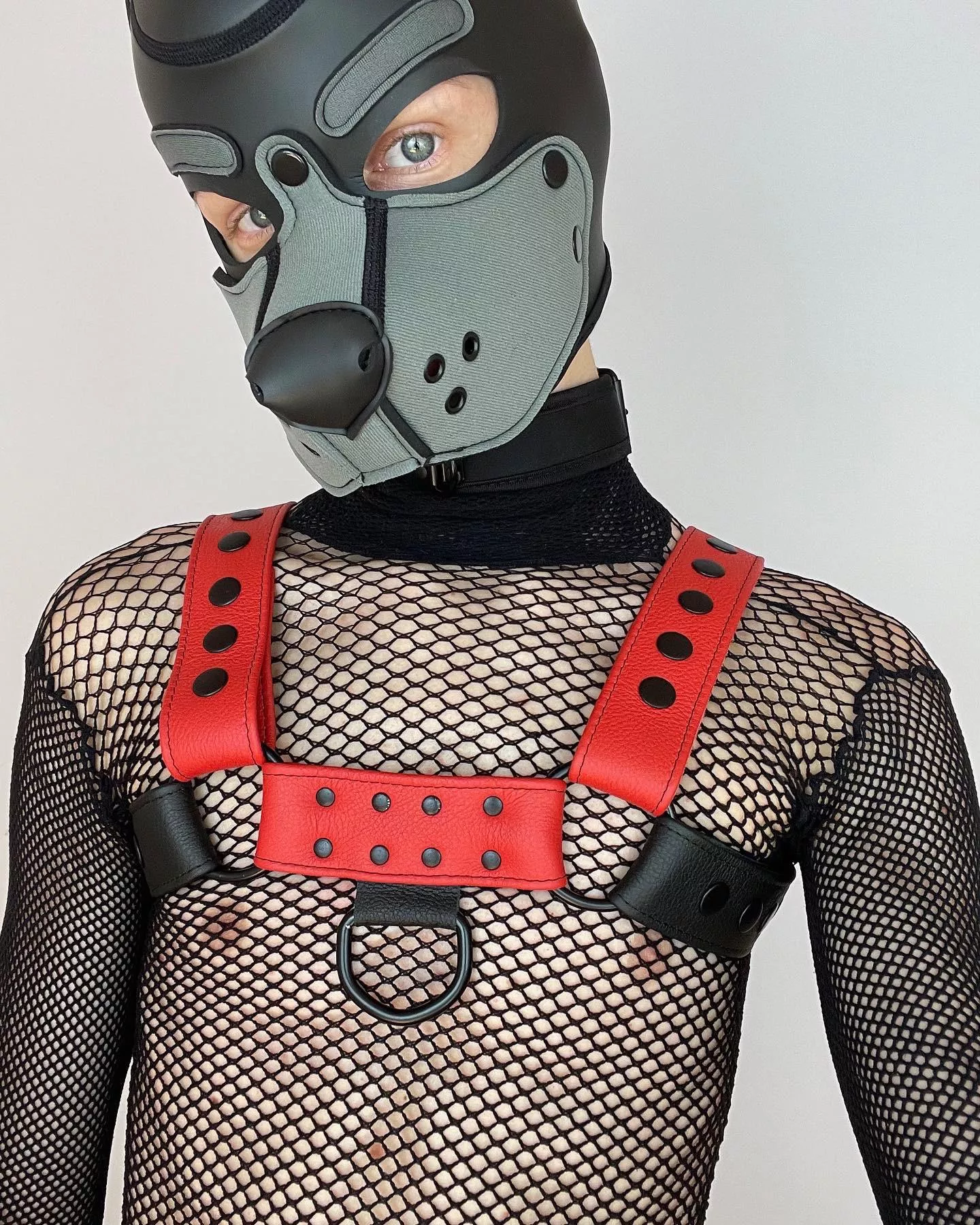 Hi reddit, woof 🐾✨