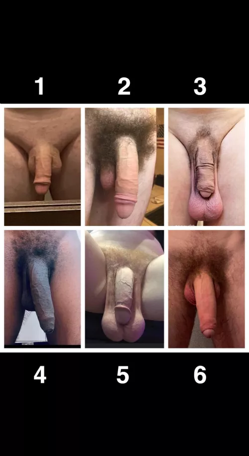 How would you rank these?