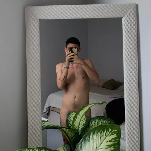 how you like my new plant?