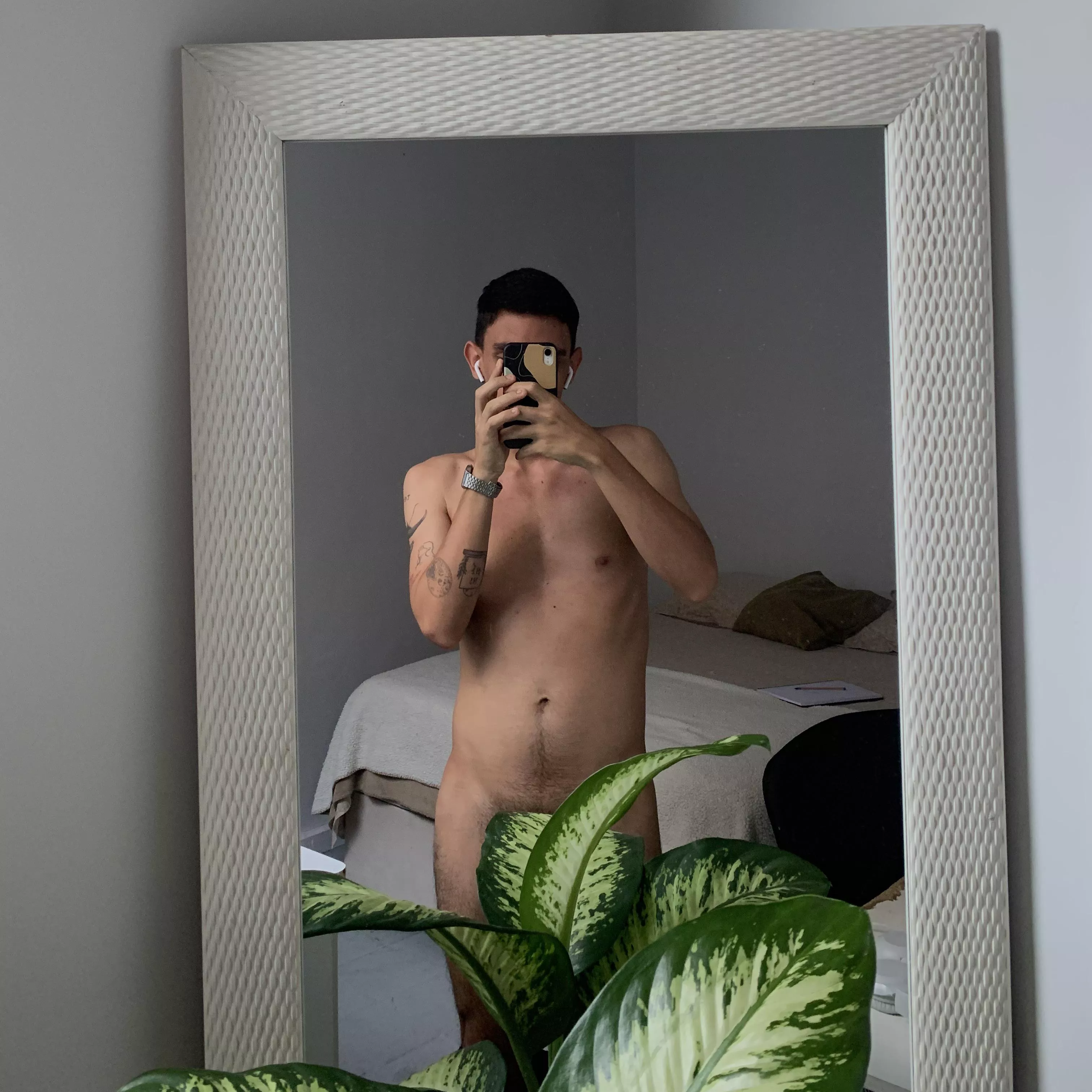 how you like my new plant?