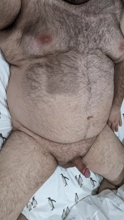 I am a present under the Christmas tree waiting to be unwrapped.