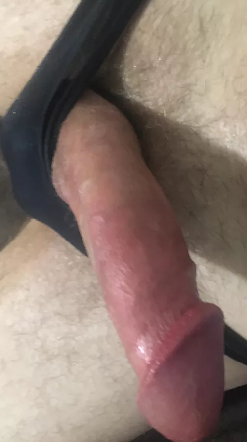 I love how cocks look/feel in panties. So fucking horny