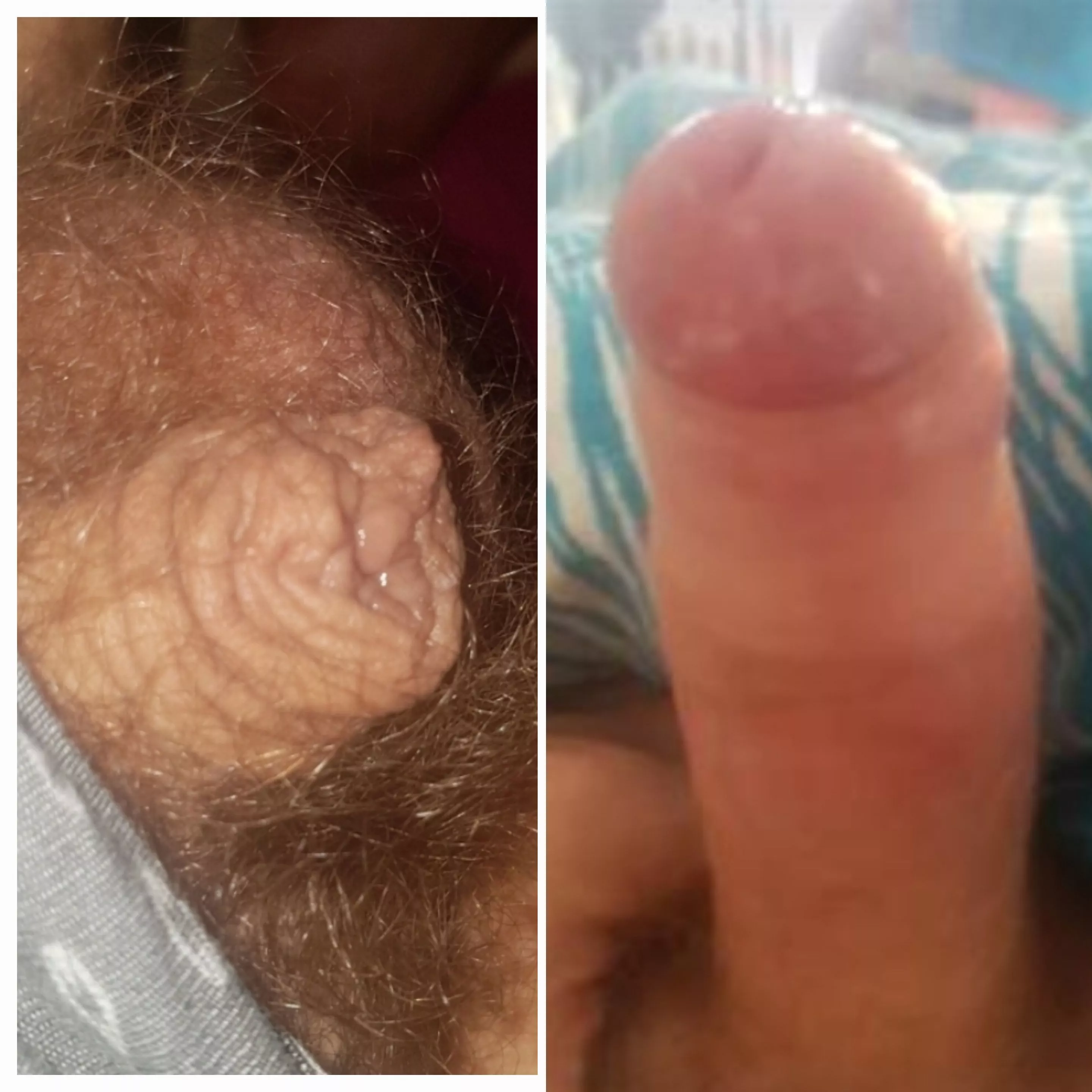 just over 1inch soft grows to 5inch (apologies for the hair)