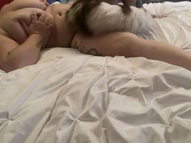 Kitten play time! [Self]