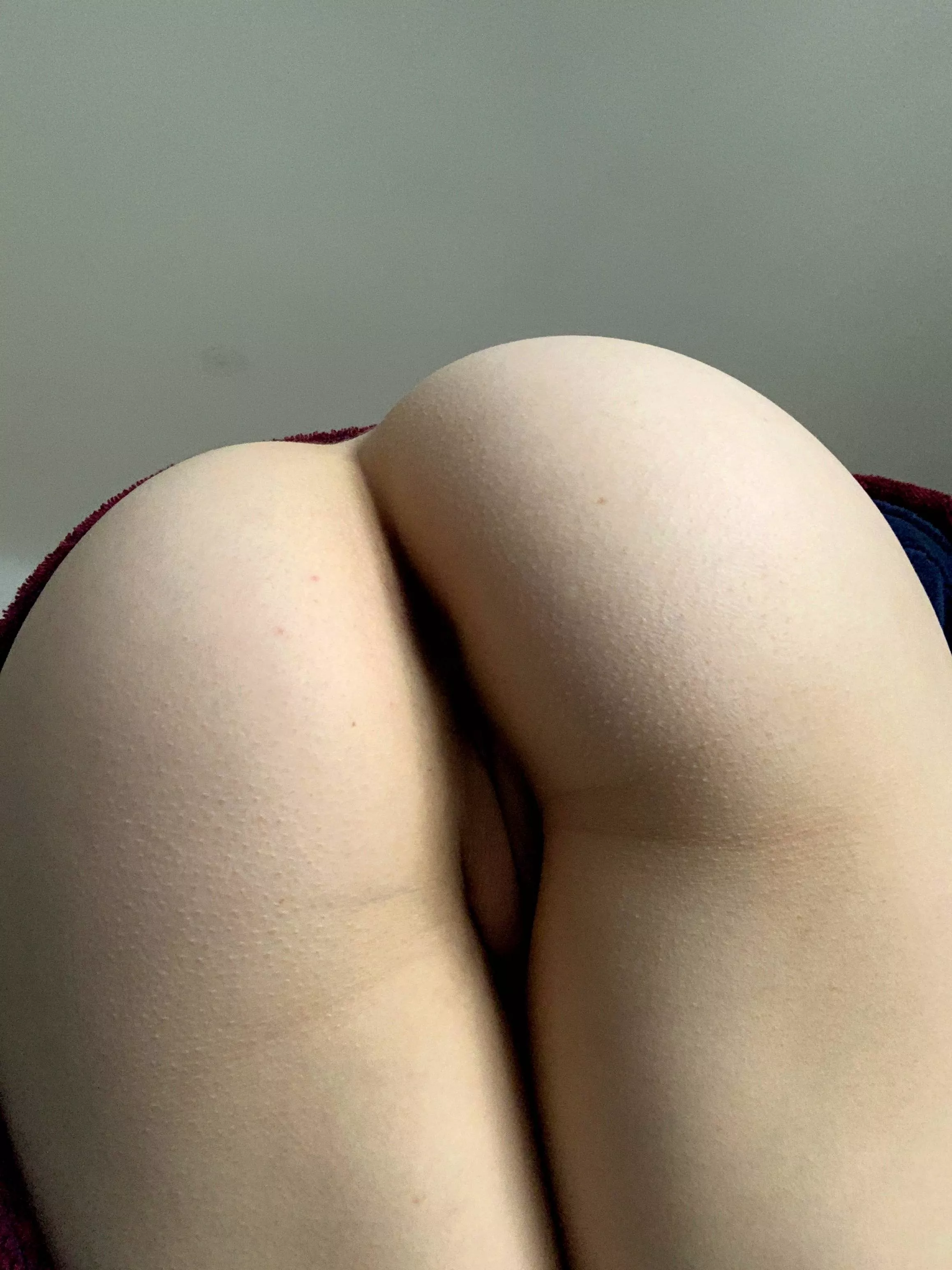 My ass hasn't been eaten in a while