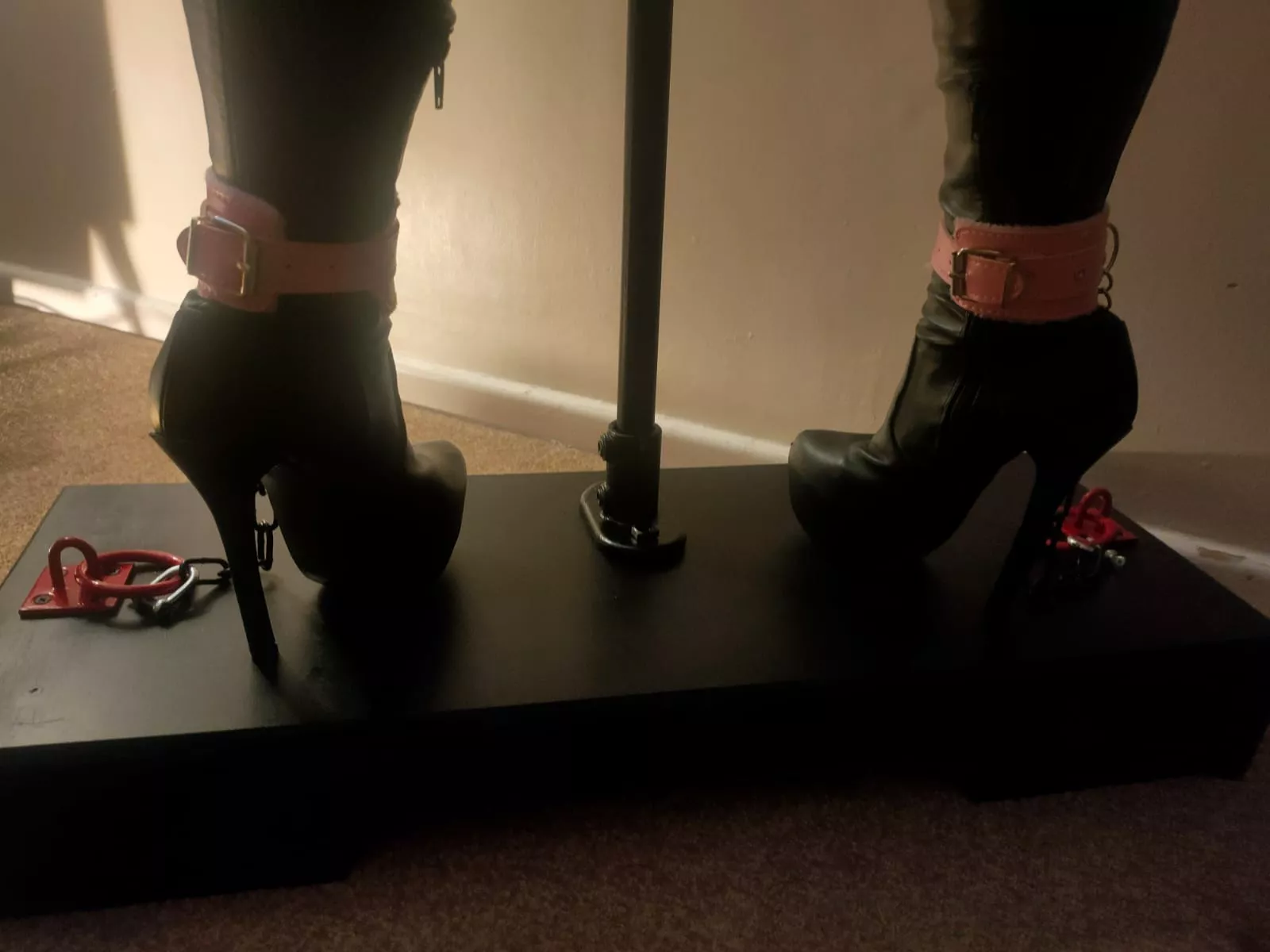 New restraint platform put to good use