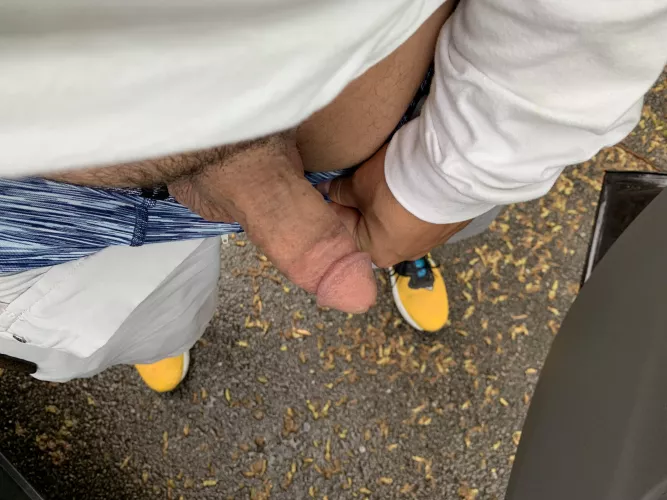 Not quite hard, but couldnt resist flashing it roadside