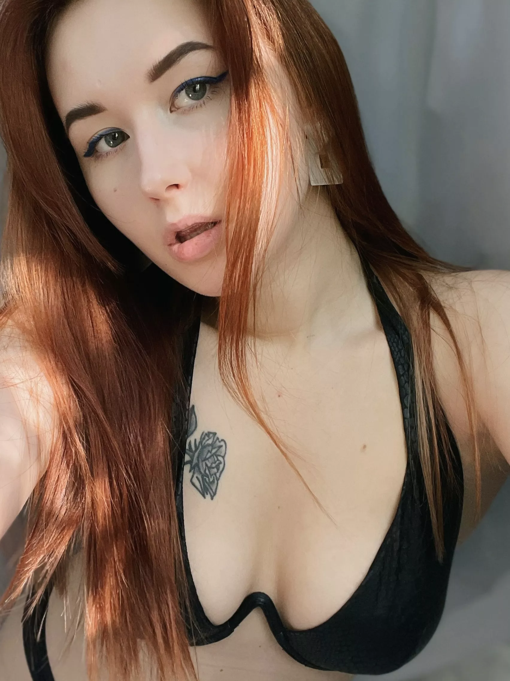 Red kitty wanna play