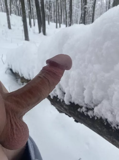 Snow is 3 dicks deep!