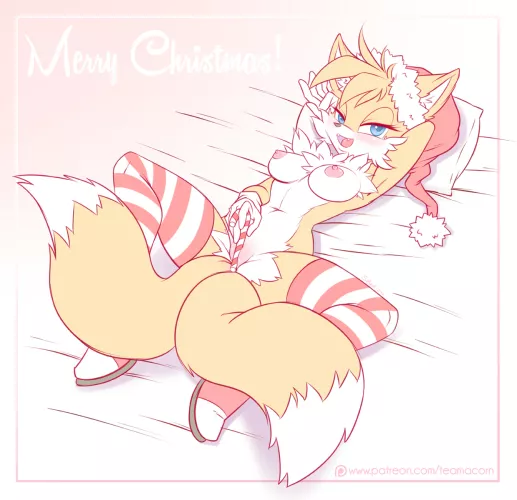Tails wishes you a Merry Christmas [F] (teamacorn)