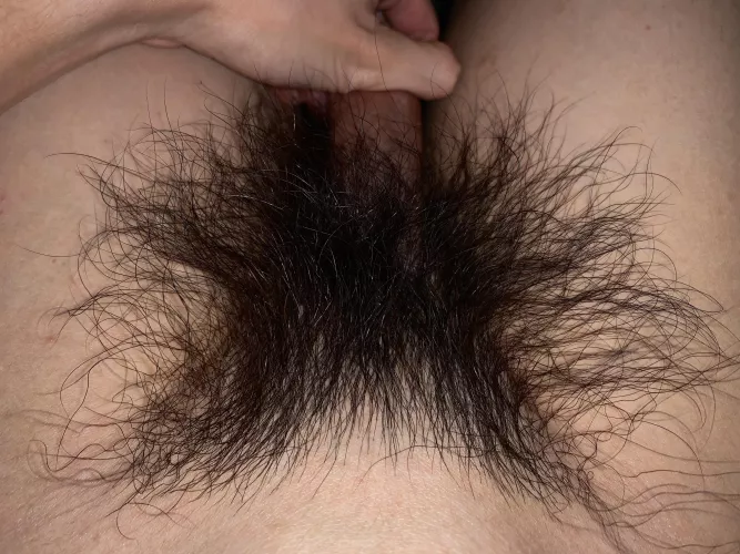 The bush is getting out of control! Can you handle it?