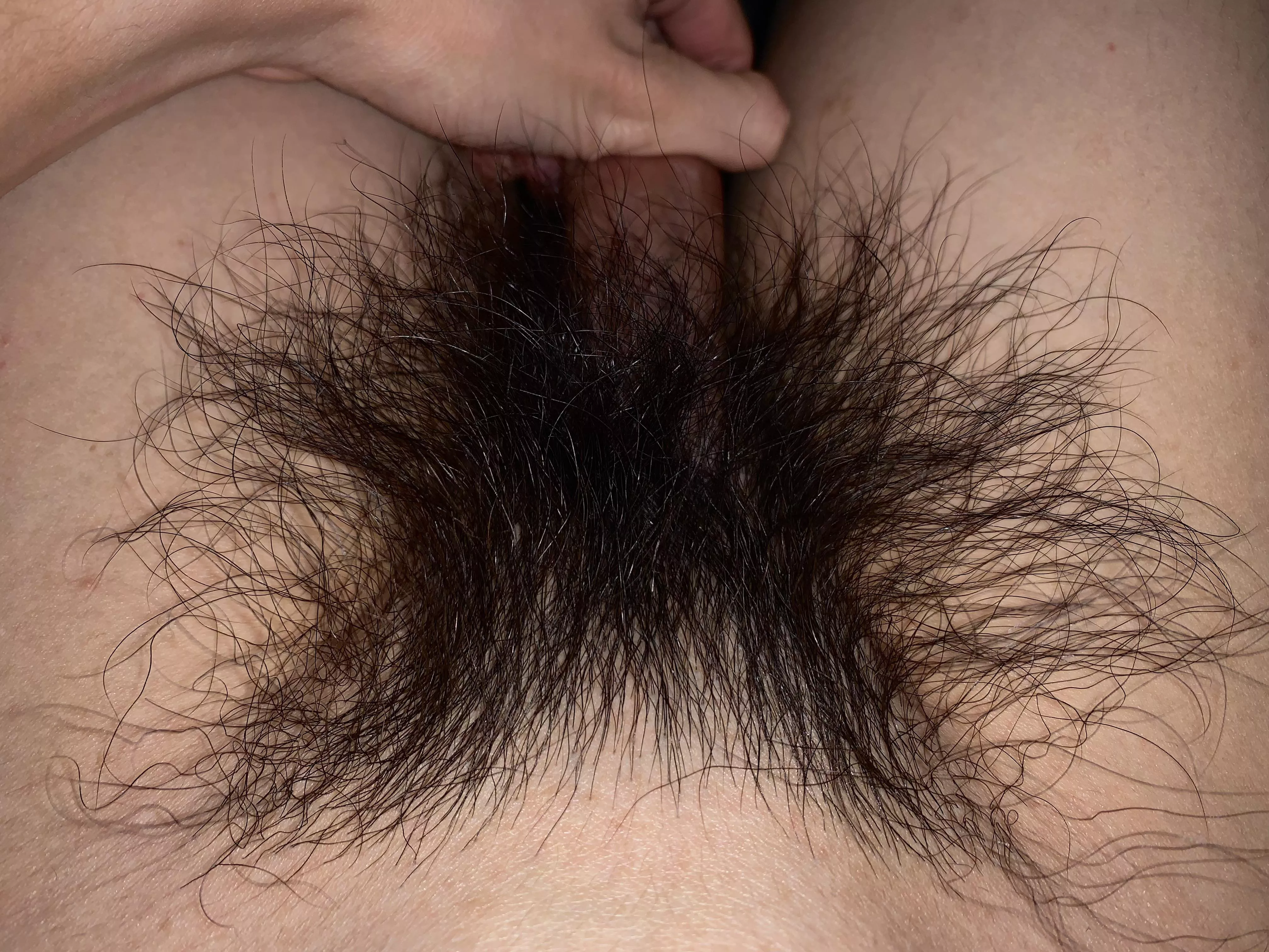 The bush is getting out of control! Can you handle it?