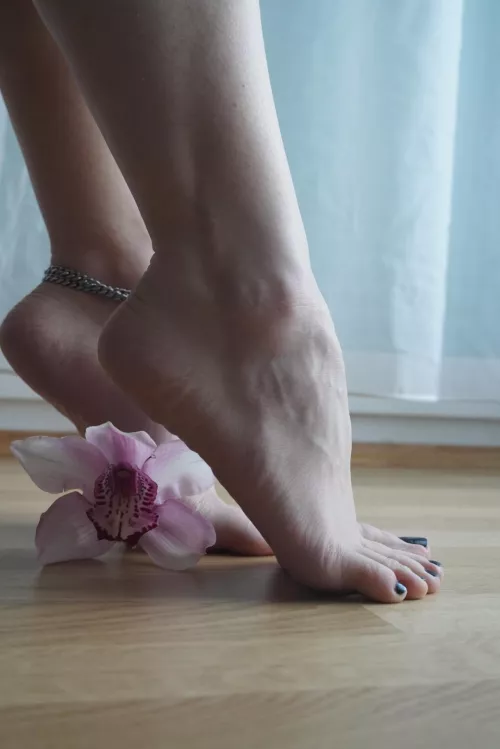 trying to soak up the morning sun