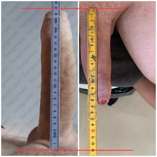 Two danes in a wiking sword fight 🍆🍆 What’s your thoughts? (M19/M27)