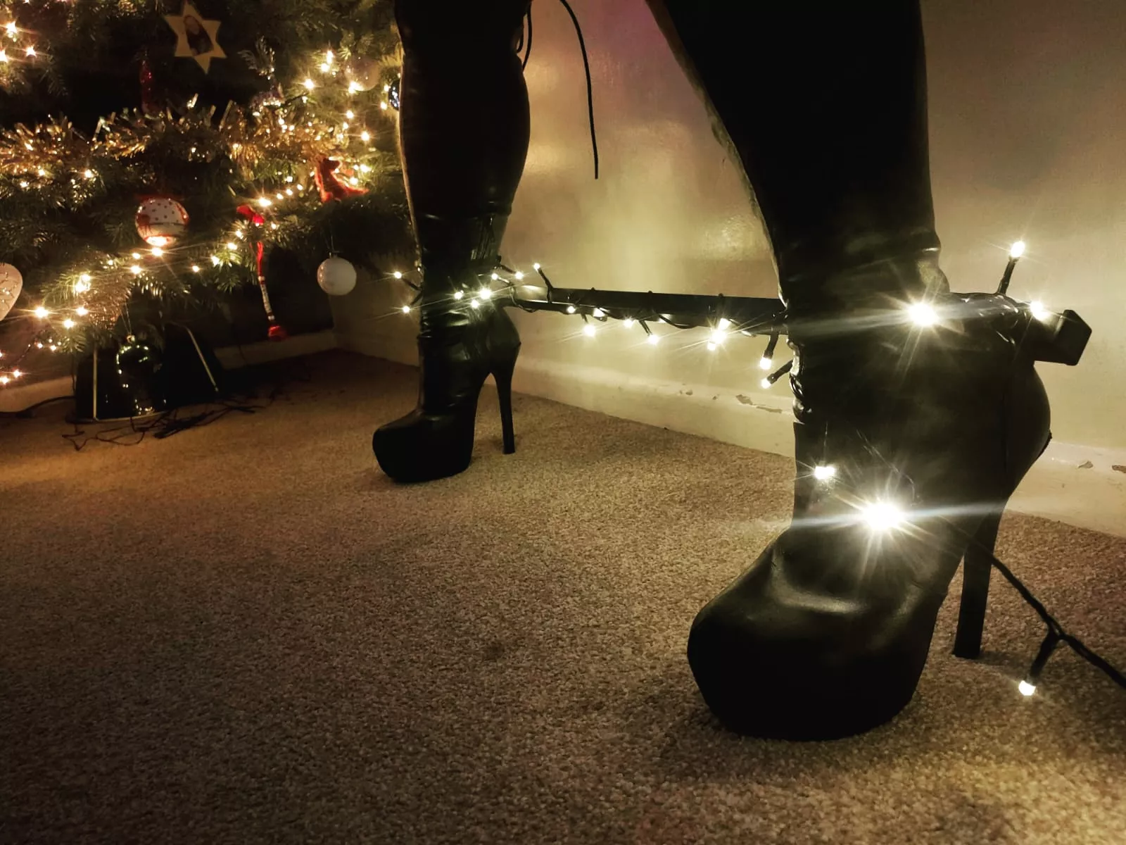 What is waiting under you tree? [f]