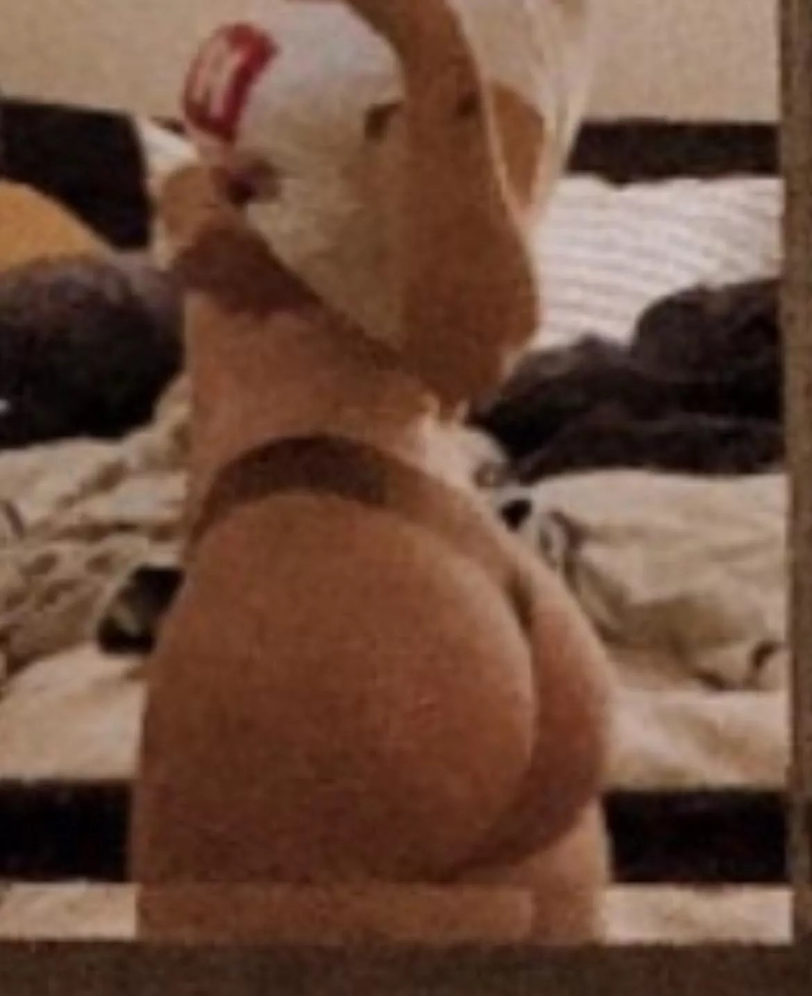 Who wants to spoil me