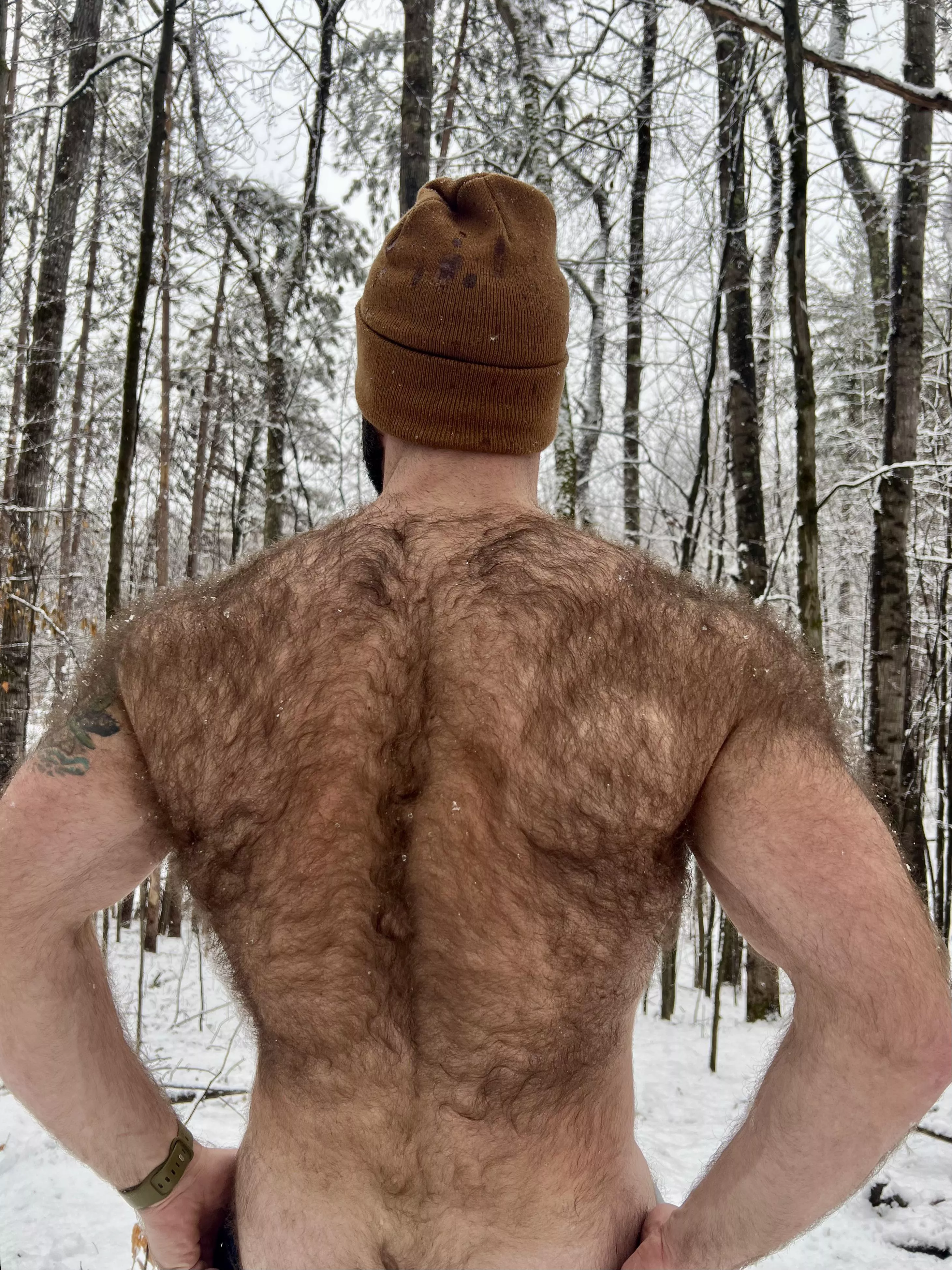 Who wants to wander the woods with me? ❄️