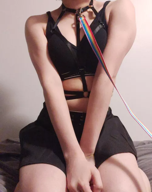 will you tug on my leash?