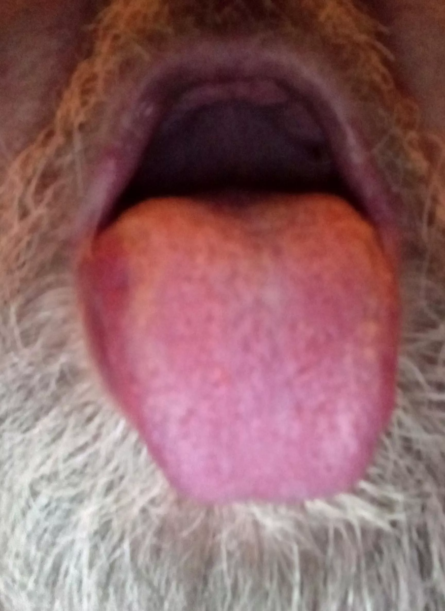 would you fuck my mouth & cum on my tongue
