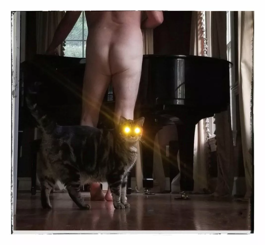 You light up my life 🎵