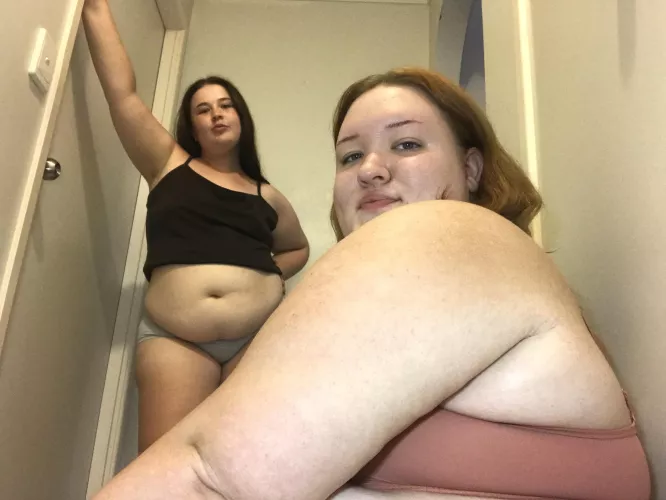 Your favourite fat feedee friends🤤🐷