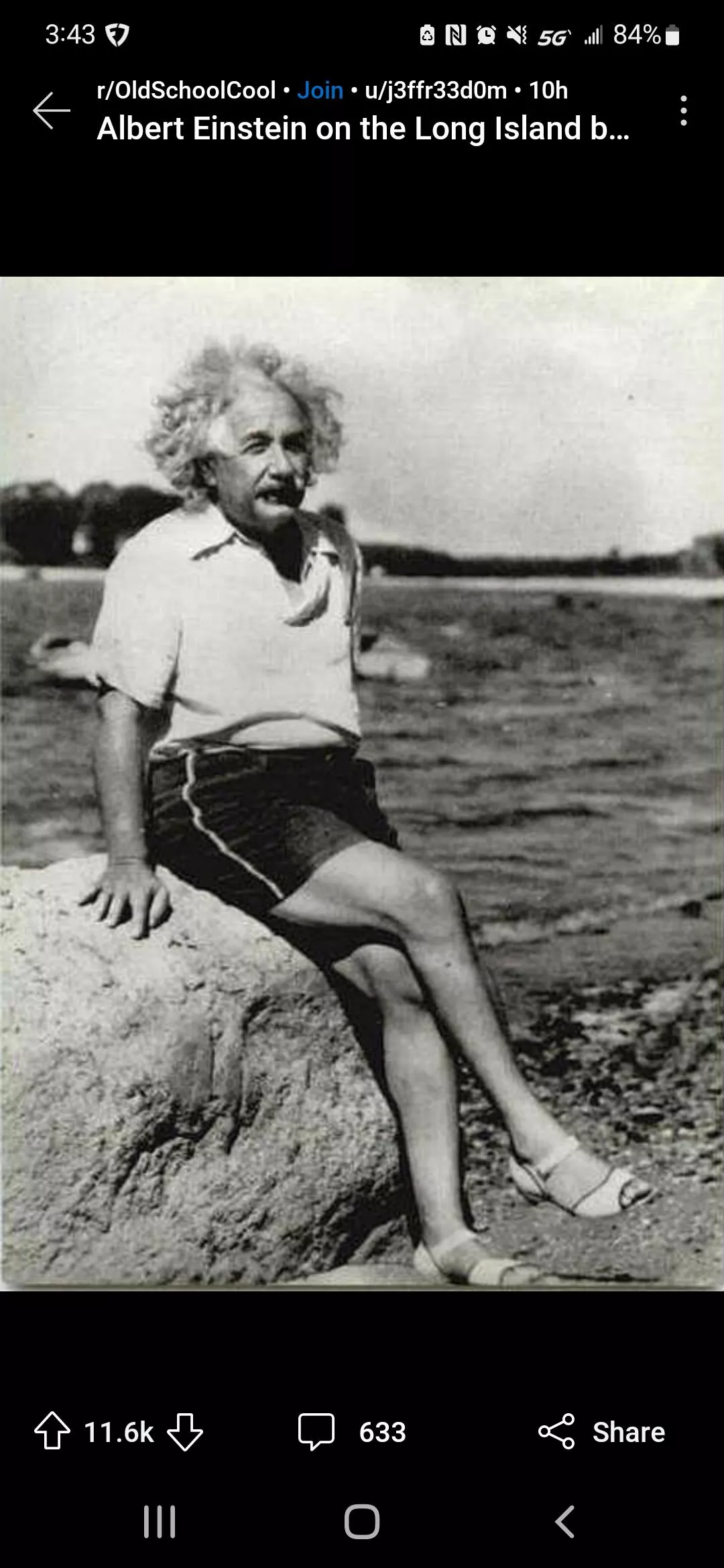 Albert Einstein Rocking the Sexy Side stripe Shorts