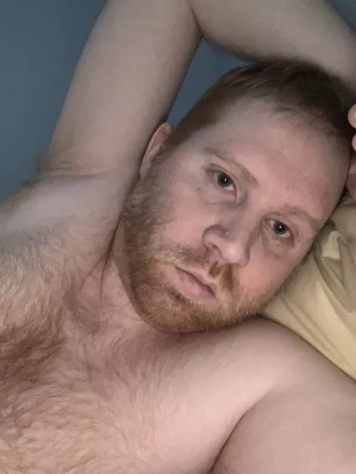 Anyone wanna come snuggle me?