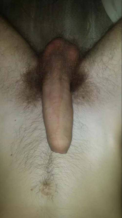Been tugging at my pubes and they’re itching - talk me into keeping them (19m)
