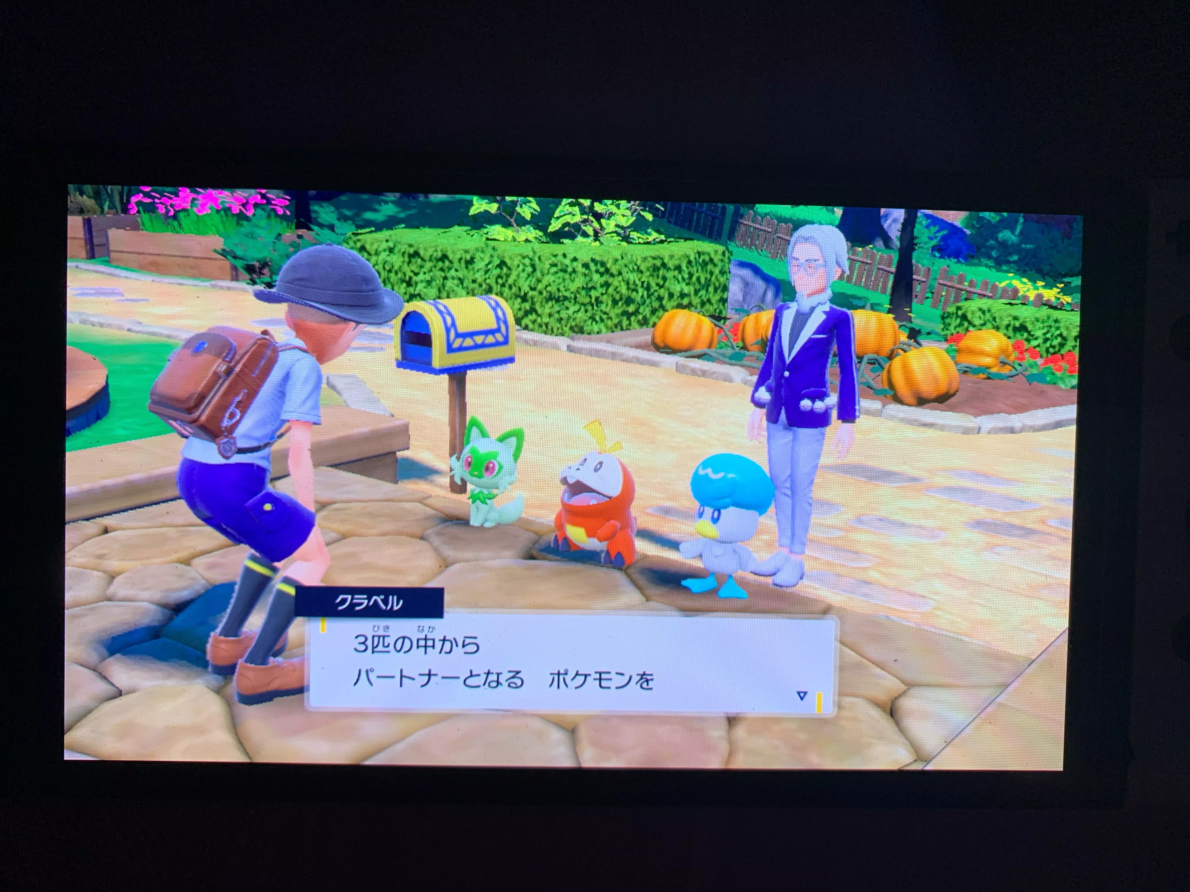 Caved in and got violet since I’ve been bedridden for the past week. Now… who should I get ?