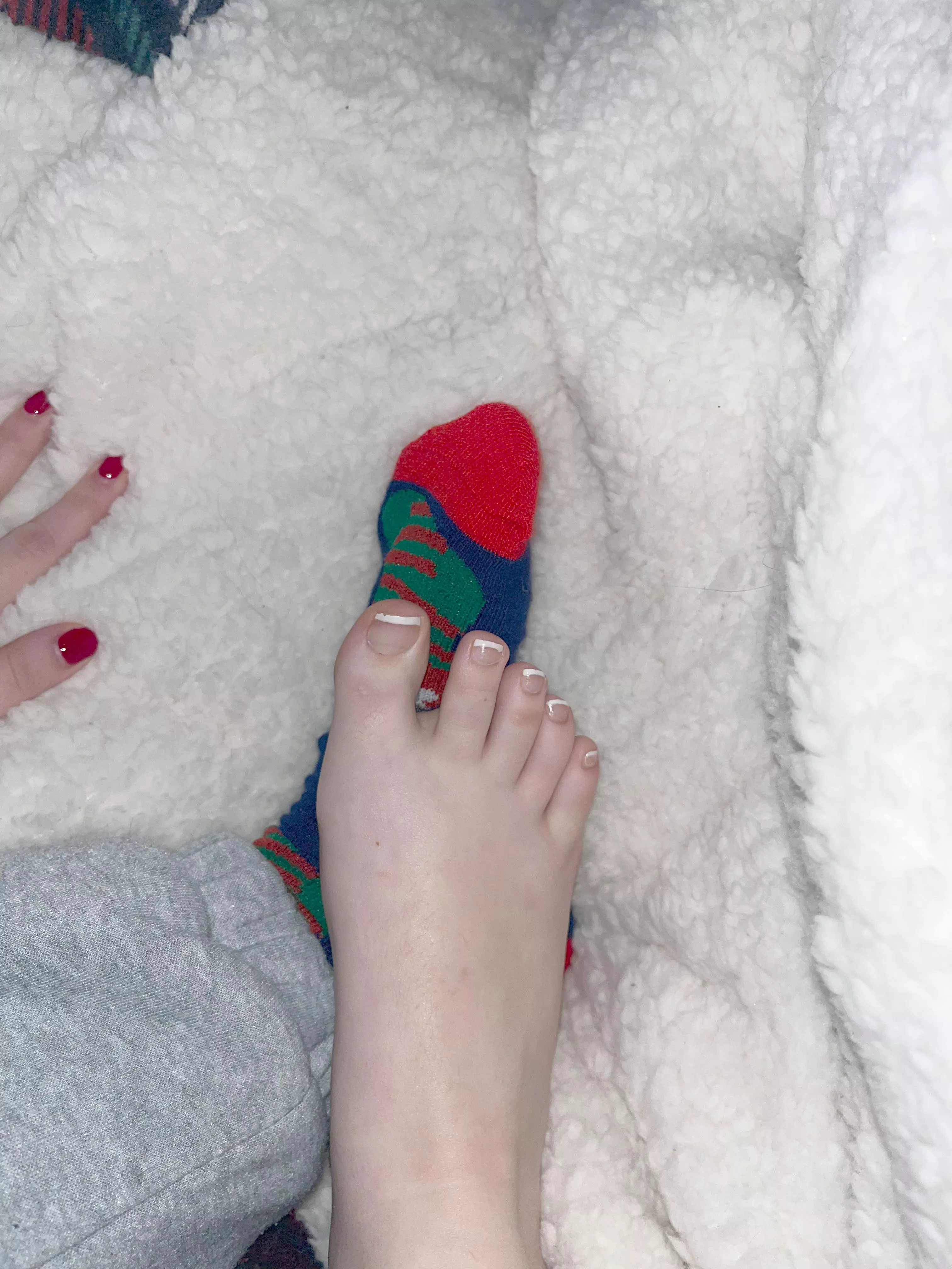 Christmas socks and a Frenchie