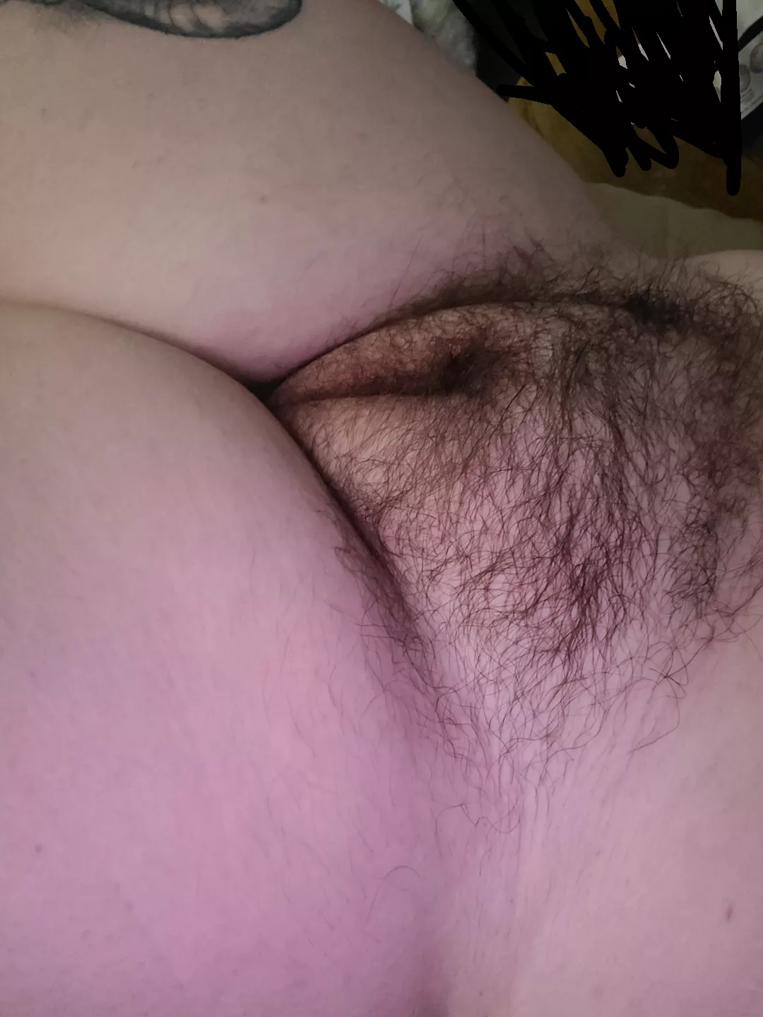 definitely longest I've gone without shaving 😅