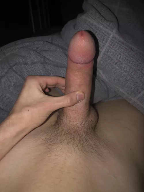 Dms open 18 bi