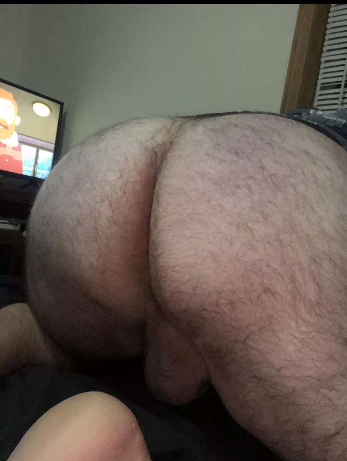 Do you like me on all fours?