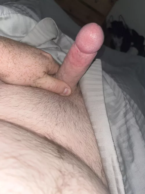 First morning of my holidays