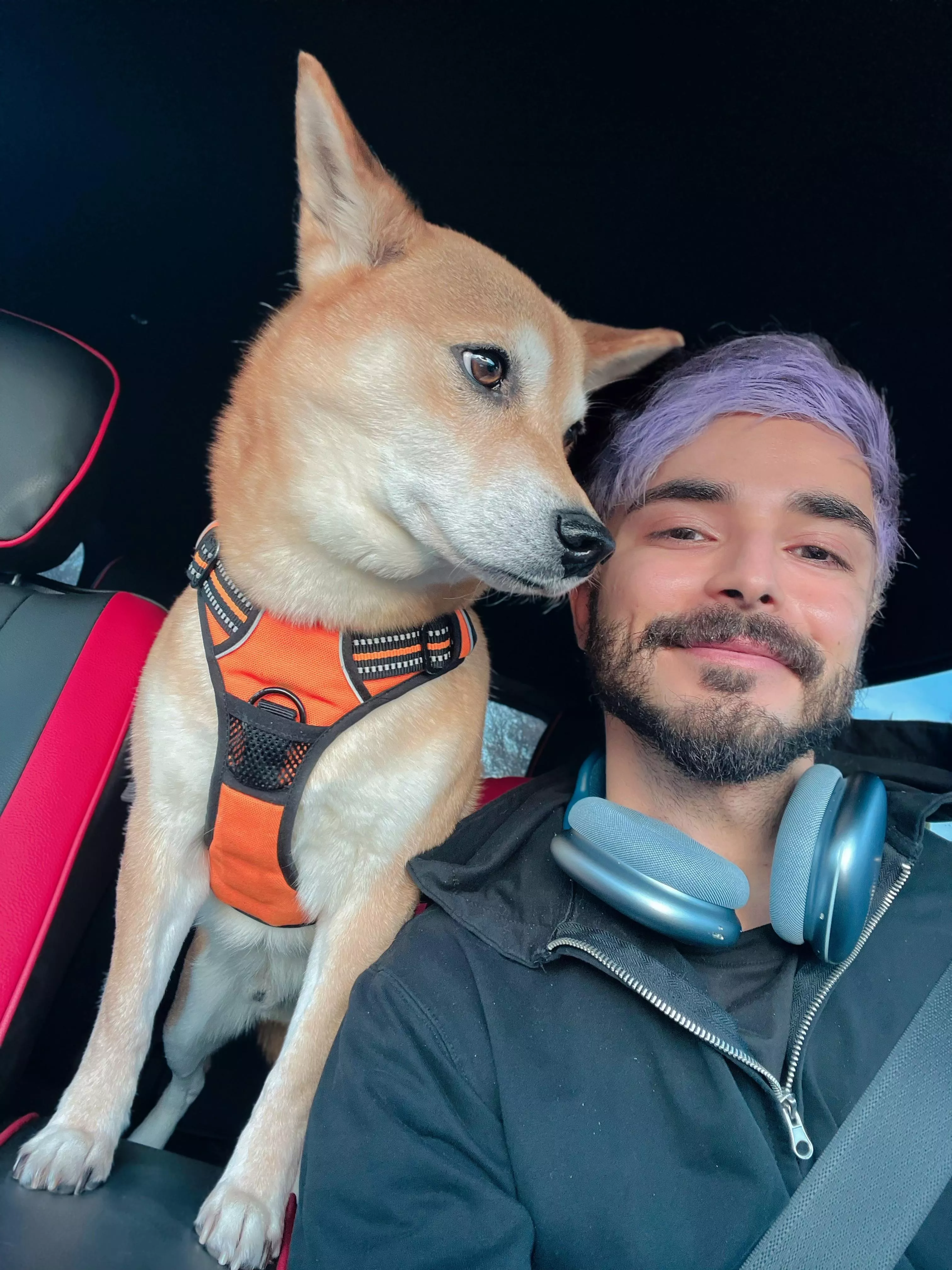 Good morning Reddit 💜🦊🧡