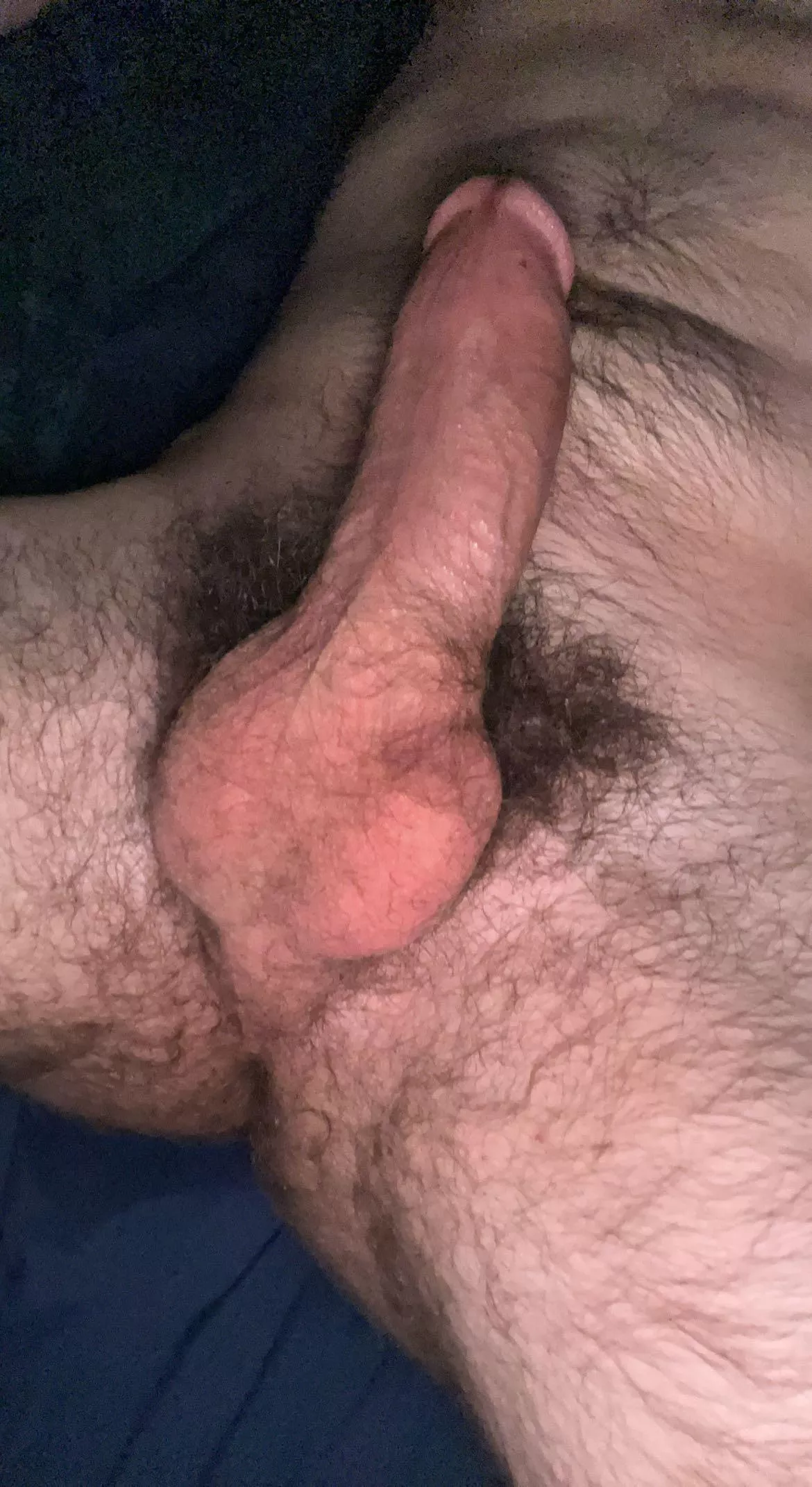 Hairiest I’ve ever been