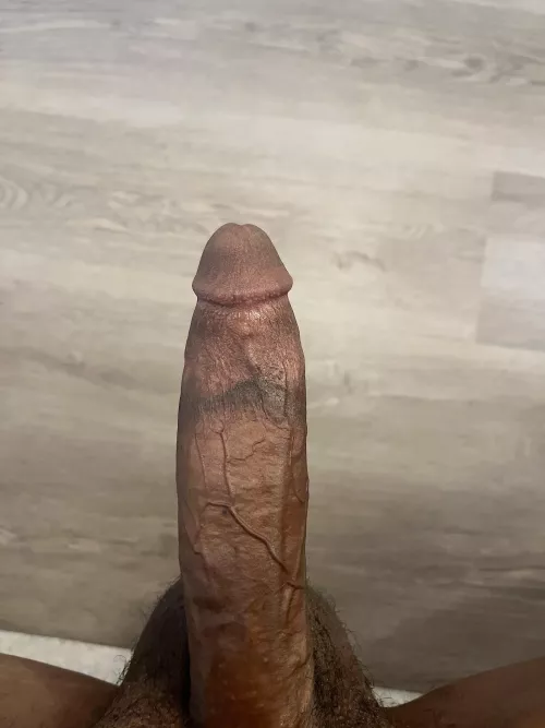 Horny on this fine Sunday