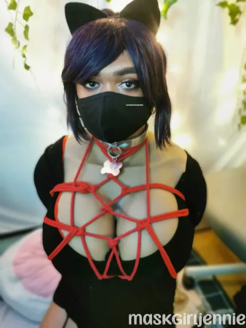 I was tied up so I couldn't stop the collar and dog tag being locked on to me! [M]