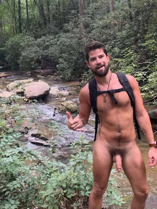 Let's go for a hike