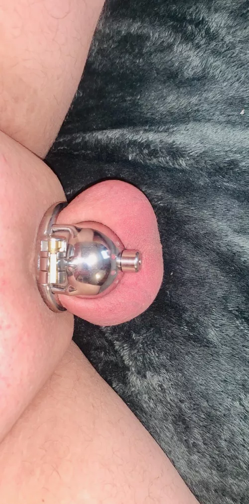 Locked 4 years & 137 days! 277 days of no cumming 😖