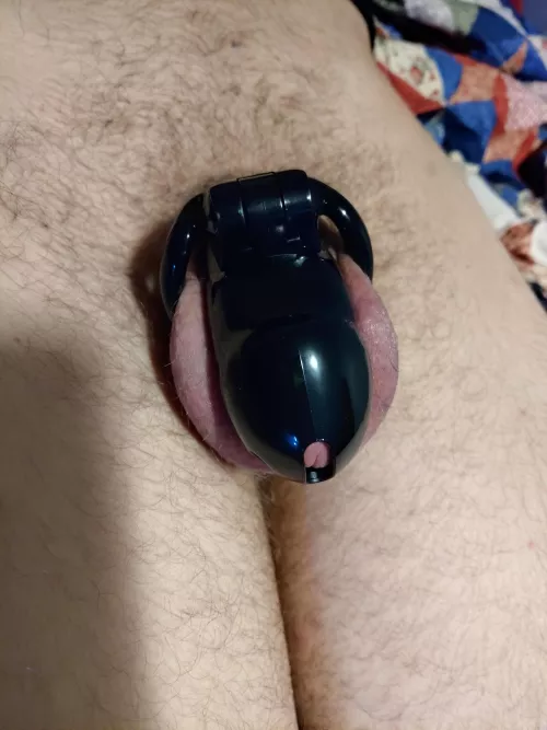 My first time being caged!