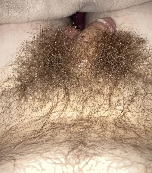 My hair covers my entire penis when I’m soft