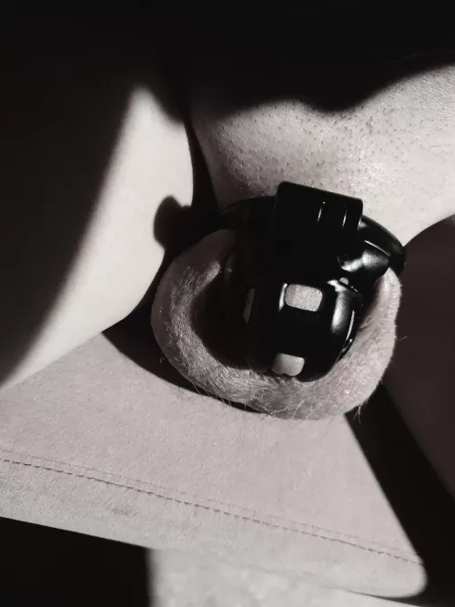 My mistress only let me penetrate her with my little penis only once in 2022 and I only lasted 3 pumps now she's toying with a pussy free 2023.