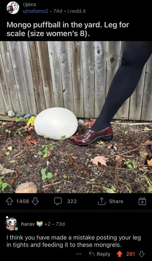 My top comment of the year probably applies to all the women here too