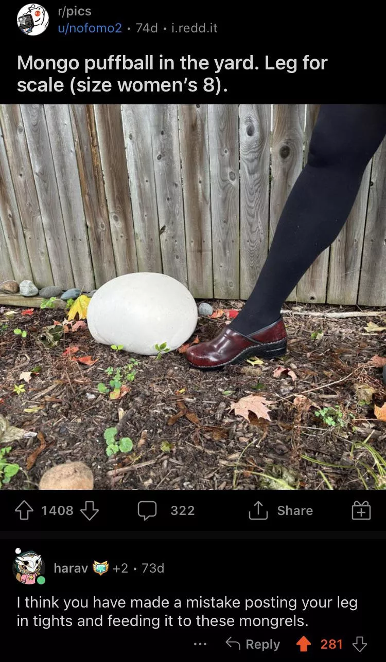 My top comment of the year probably applies to all the women here too