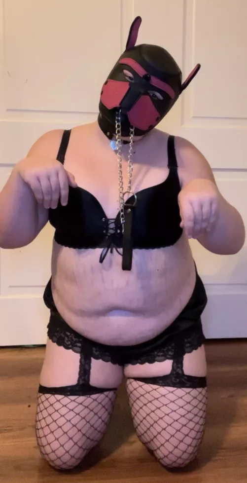 New user! Awoof!!! 🐾💕