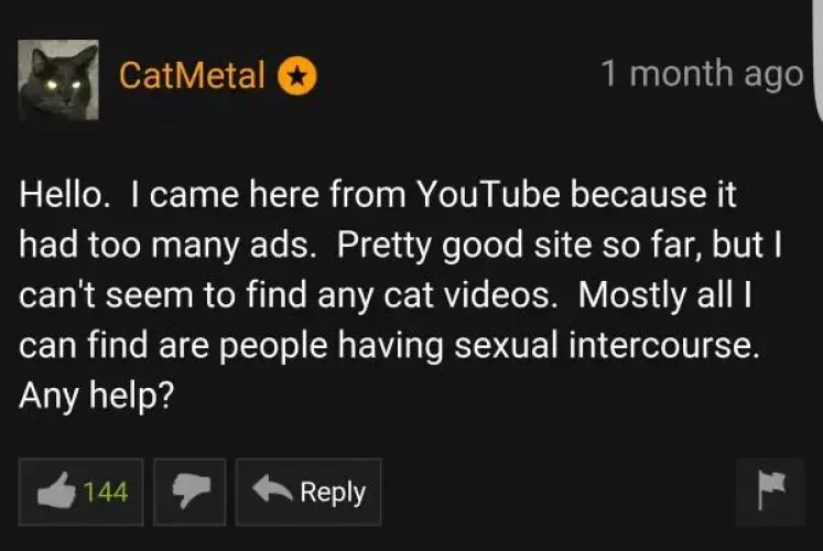 not the pussy he was looking for